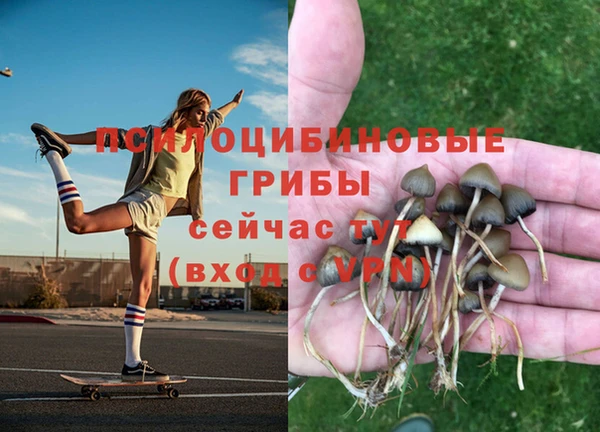 синтетический гашиш Абинск