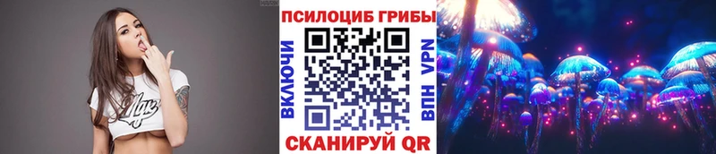 Псилоцибиновые грибы прущие грибы  где найти наркотики  Тында 